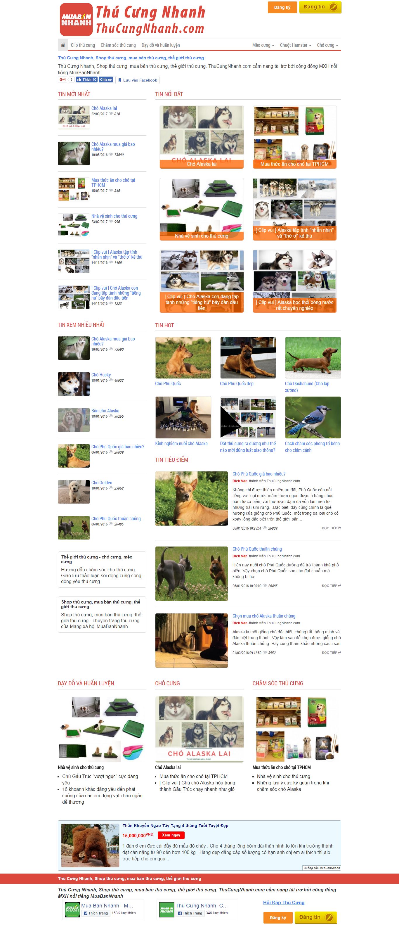 Thiết kế website thú cưng đẹp, chuyên nghiệp chuẩn SEO